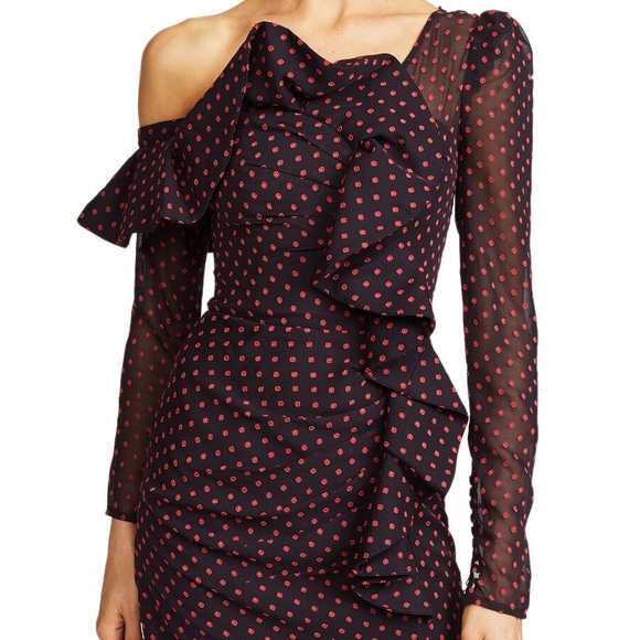 Self-Portrait Ruffled-Trimmed Embroidered Dress with floral embroidery - Picture 3 of 6